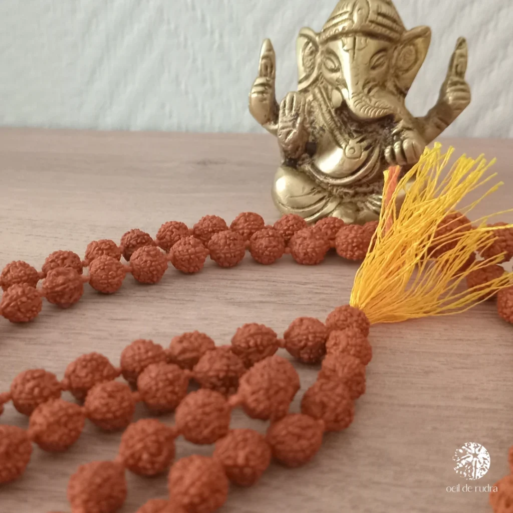 Malas 108 perles en graines de rudraksha Authentiques