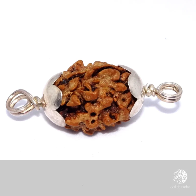 Rudraksha 3 faces purification avec capuchon en argent