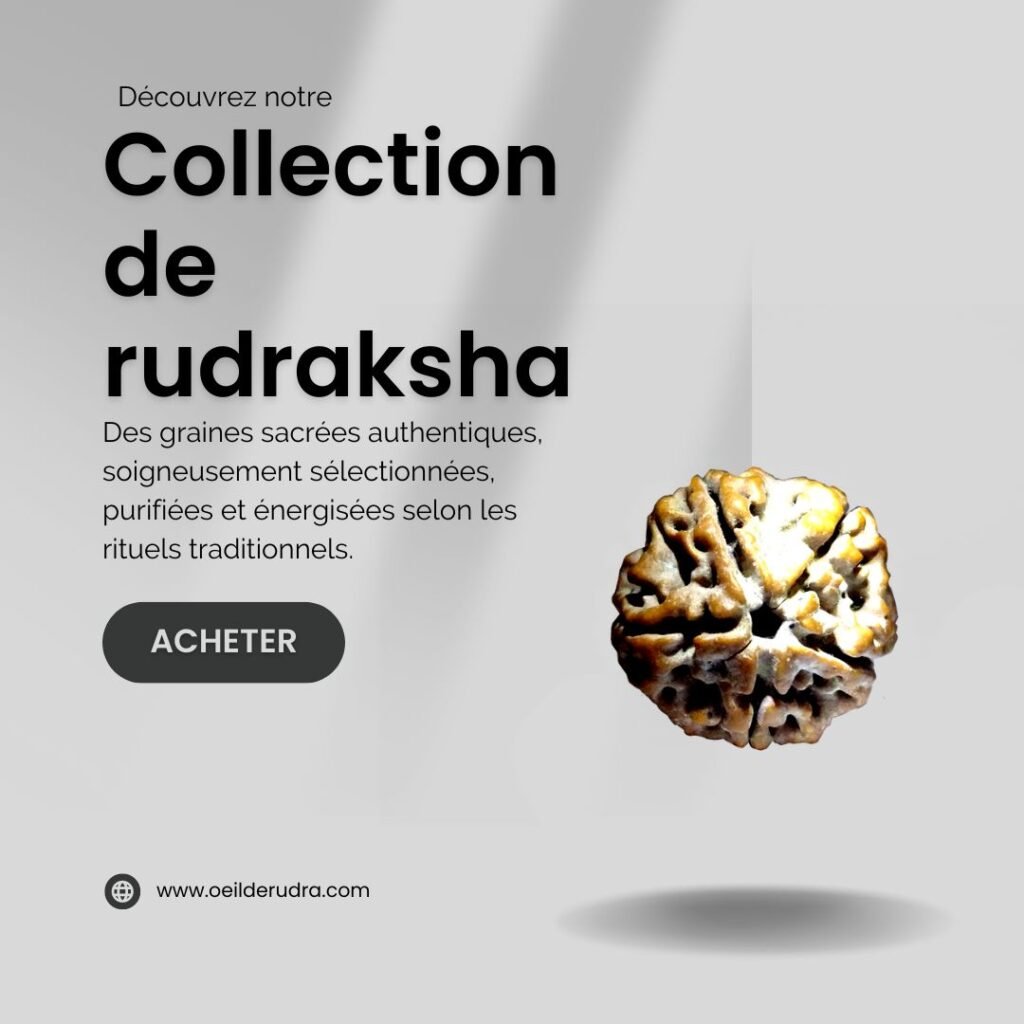 collection de rudrakshas