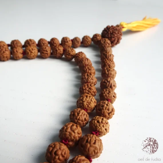 mala de rudraksha à 6 faces indonésie et népal