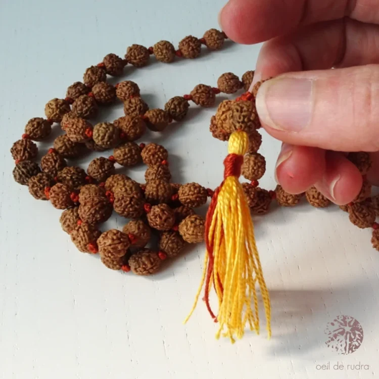 graine gourou mala-tibetain-rudraksha-5-faces